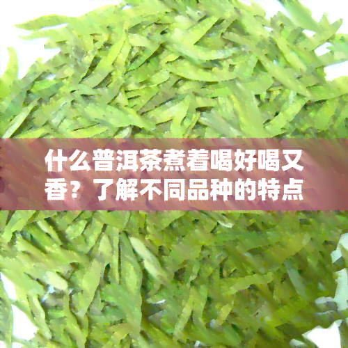 什么普洱茶煮着喝好喝又香？了解不同品种的特点与区别