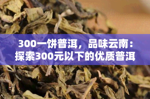 300一饼普洱，品味云南：探索300元以下的优质普洱茶饼