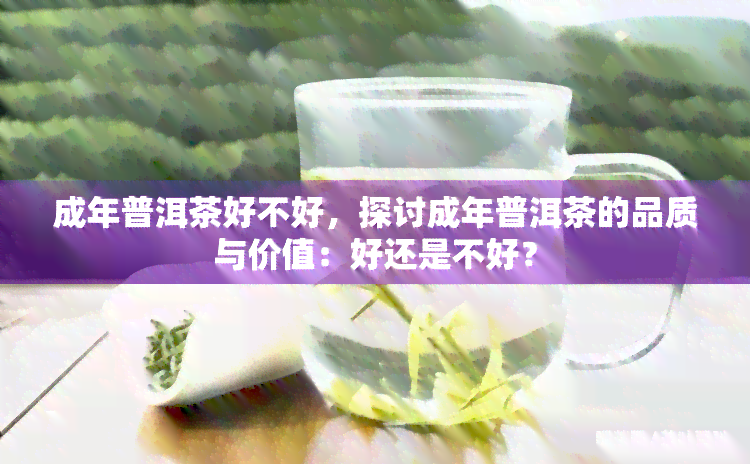 成年普洱茶好不好，探讨成年普洱茶的品质与价值：好还是不好？