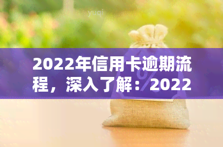 2022年信用卡逾期流程，深入了解：2022年信用卡逾期处理流程全解析