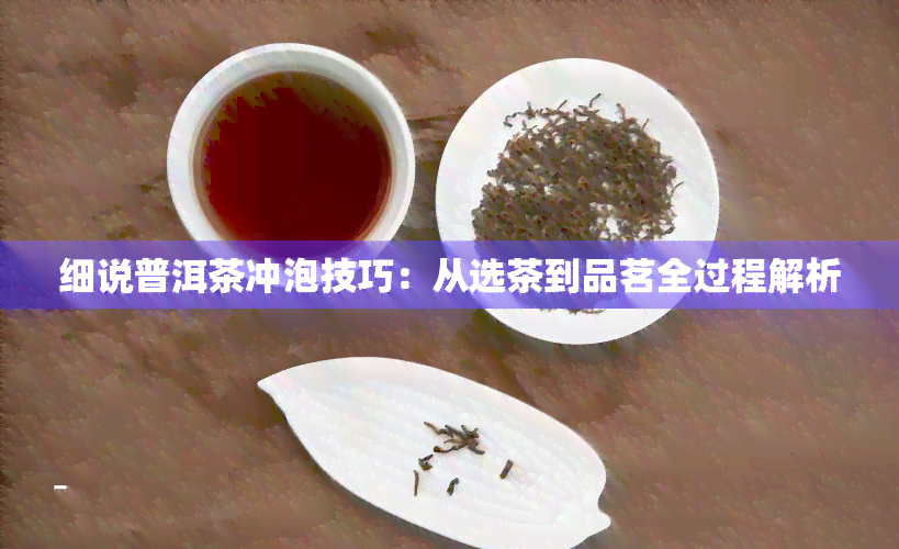 细说普洱茶冲泡技巧：从选茶到品茗全过程解析