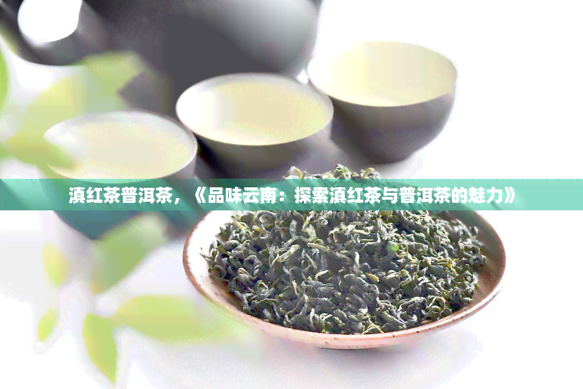 滇红茶普洱茶，《品味云南：探索滇红茶与普洱茶的魅力》