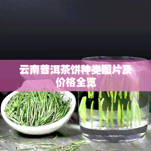 云南普洱茶饼种类图片及价格全览