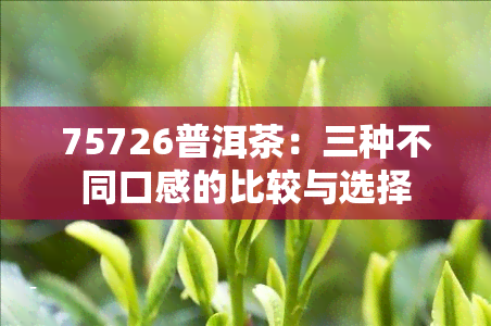 75726普洱茶：三种不同口感的比较与选择