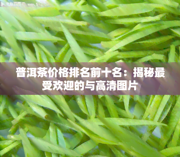 普洱茶价格排名前十名：揭秘更受欢迎的与高清图片