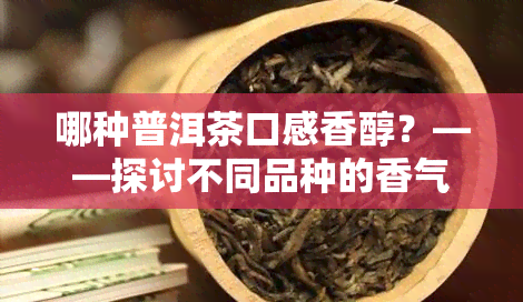 哪种普洱茶口感香醇？——探讨不同品种的香气特点与美味之处