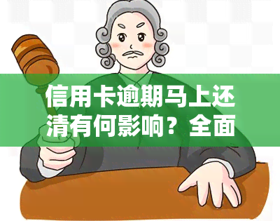 信用卡逾期马上还清有何影响？全面解析欠款后的后果