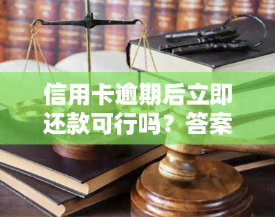 信用卡逾期后立即还款可行吗？答案在这里！