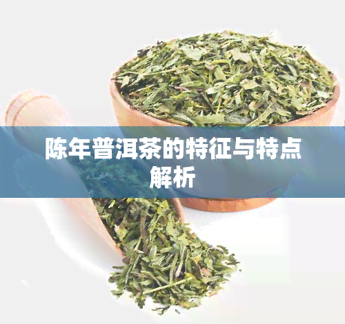 陈年普洱茶的特征与特点解析