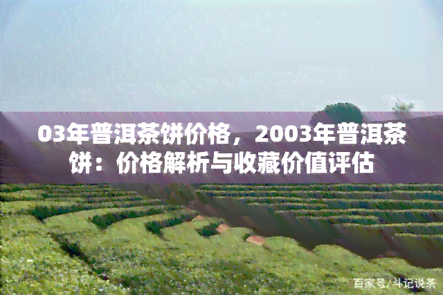 03年普洱茶饼价格，2003年普洱茶饼：价格解析与收藏价值评估