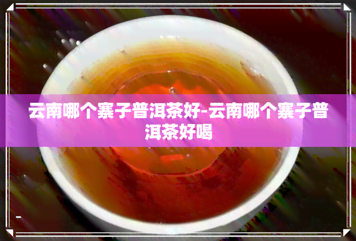 云南哪个寨子普洱茶好-云南哪个寨子普洱茶好喝