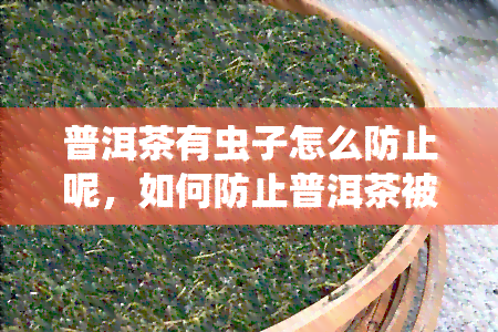 普洱茶有虫子怎么防止呢，如何防止普洱茶被虫蛀？教你几招有效方法！