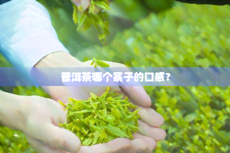 普洱茶哪个寨子的口感？