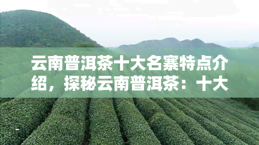 云南普洱茶十大名寨特点介绍，探秘云南普洱茶：十大名寨的特点解析