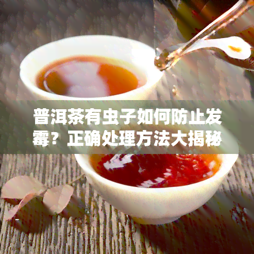 普洱茶有虫子如何防止发霉？正确处理方法大揭秘！