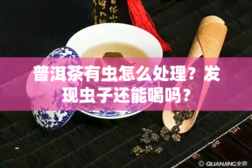 普洱茶有虫怎么处理？发现虫子还能喝吗？