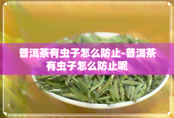 普洱茶有虫子怎么防止-普洱茶有虫子怎么防止呢