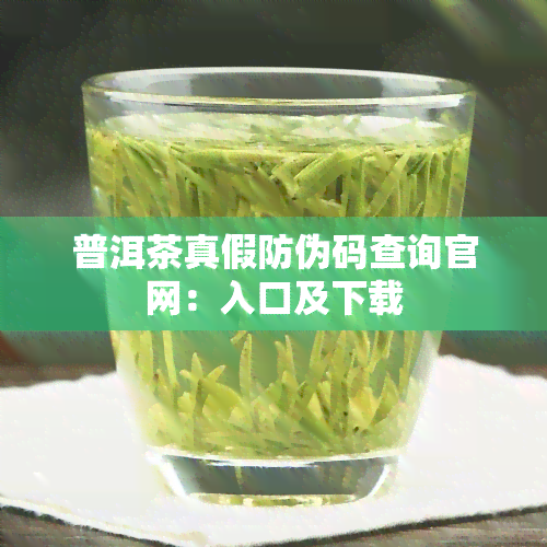 普洱茶真假防伪码查询官网：入口及下载