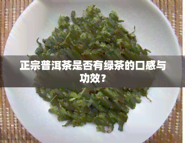 正宗普洱茶是否有绿茶的口感与功效？