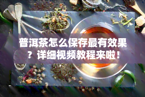 普洱茶怎么保存最有效果？详细视频教程来啦！