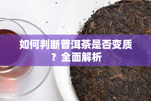 如何判断普洱茶是否变质？全面解析