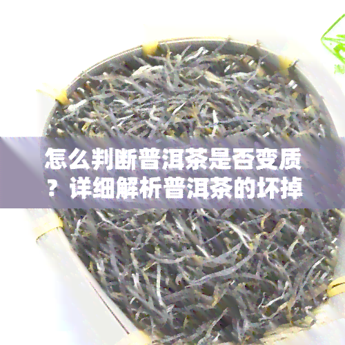 怎么判断普洱茶是否变质？详细解析普洱茶的坏掉表现