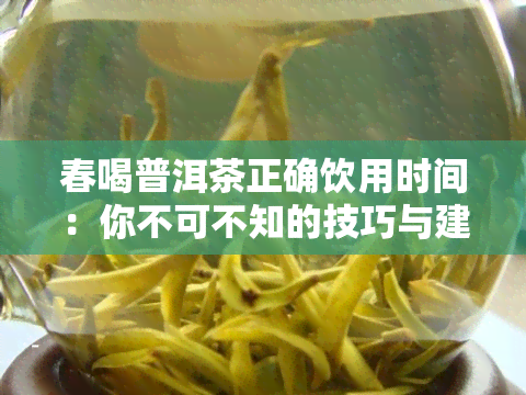 春喝普洱茶正确饮用时间：你不可不知的技巧与建议