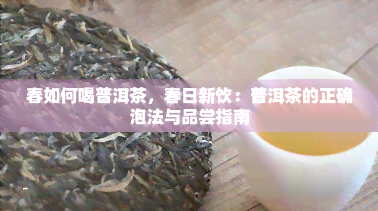 春如何喝普洱茶，春日新饮：普洱茶的正确泡法与品尝指南