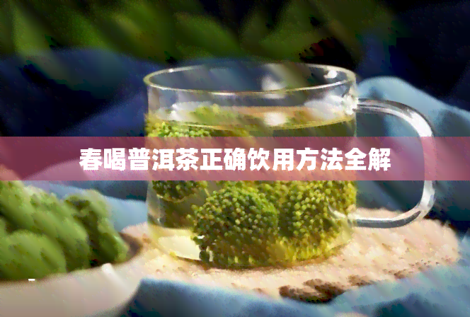 春喝普洱茶正确饮用方法全解