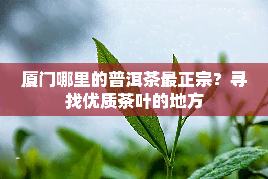 厦门哪里的普洱茶最正宗？寻找优质茶叶的地方