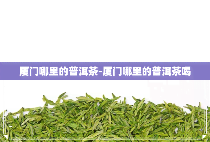 厦门哪里的普洱茶-厦门哪里的普洱茶喝