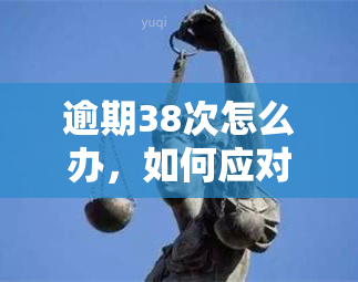 逾期38次怎么办，如何应对逾期38次的情况？