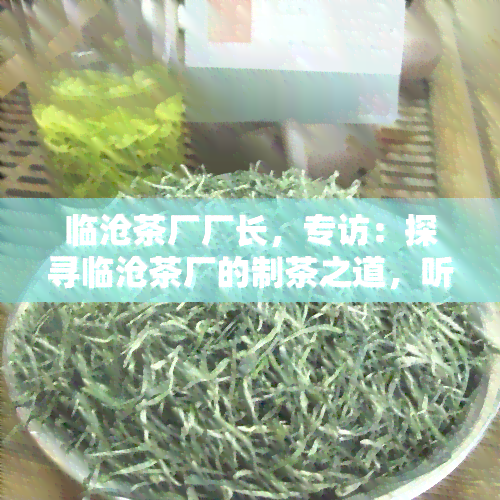 临沧茶厂厂长，专访：探寻临沧茶厂的制茶之道，听厂长讲述故事