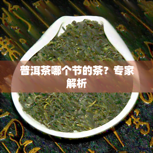 普洱茶哪个节的茶？专家解析