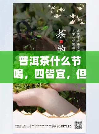 普洱茶什么节喝，四皆宜，但春更适合品尝——详解普洱茶的饮用节