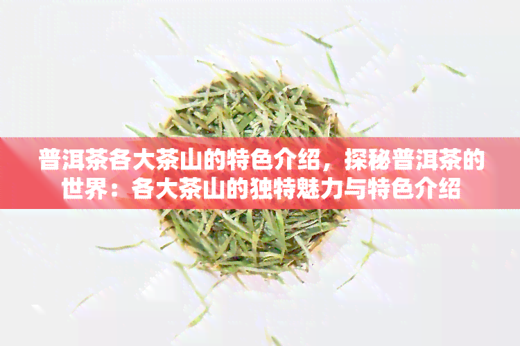 普洱茶各大茶山的特色介绍，探秘普洱茶的世界：各大茶山的独特魅力与特色介绍