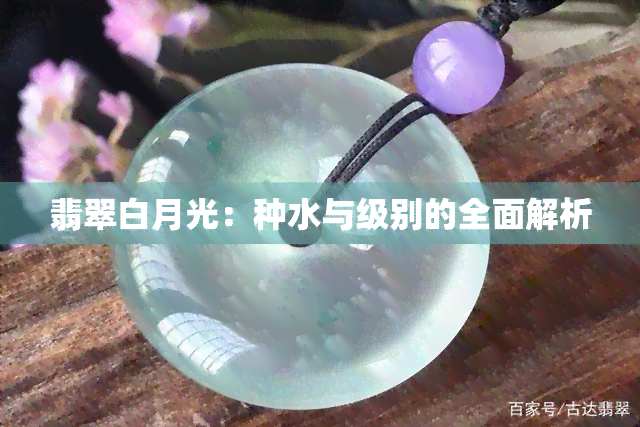 翡翠白月光：种水与级别的全面解析