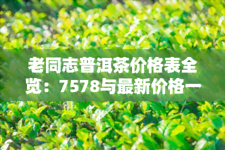 老同志普洱茶价格表全览：7578与最新价格一览无余