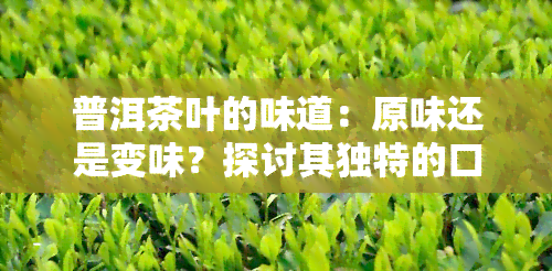 普洱茶叶的味道：原味还是变味？探讨其独特的口感特性