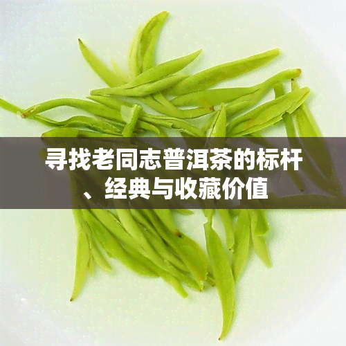 寻找老同志普洱茶的标杆、经典与收藏价值