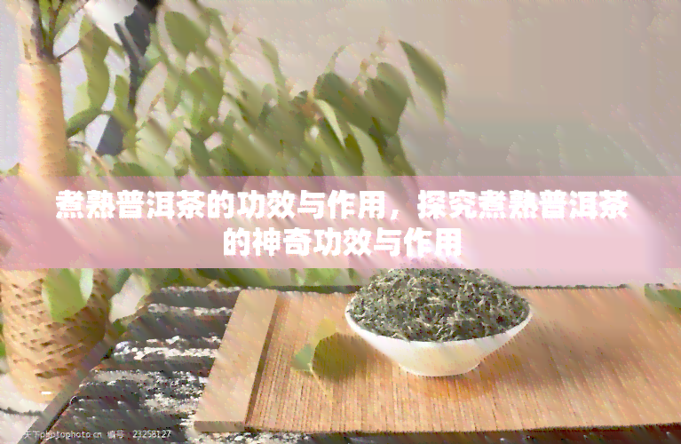 煮熟普洱茶的功效与作用，探究煮熟普洱茶的神奇功效与作用