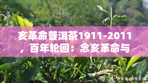 亥革命普洱茶1911-2011，百年轮回：念亥革命与普洱茶的不解之缘