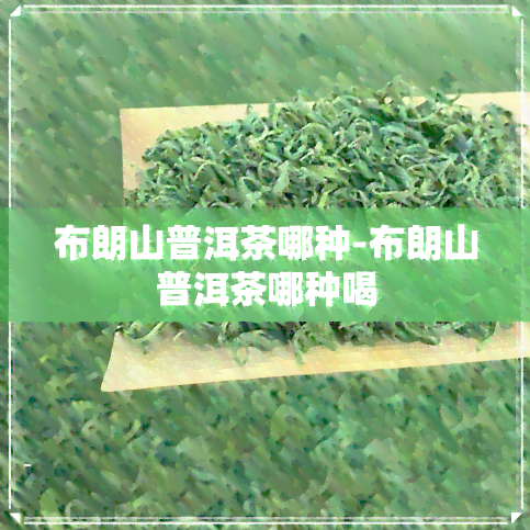 布朗山普洱茶哪种-布朗山普洱茶哪种喝