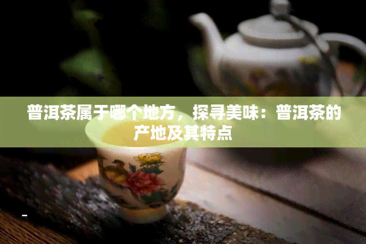 普洱茶属于哪个地方，探寻美味：普洱茶的产地及其特点