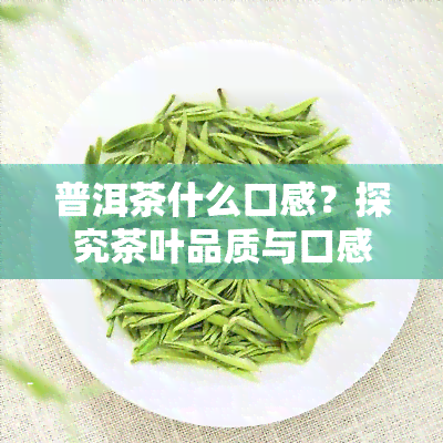 普洱茶什么口感？探究茶叶品质与口感的关系