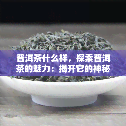 普洱茶什么样，探索普洱茶的魅力：揭开它的神秘面纱