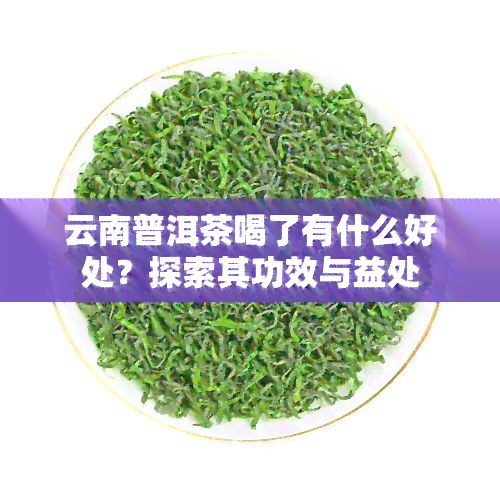 云南普洱茶喝了有什么好处？探索其功效与益处