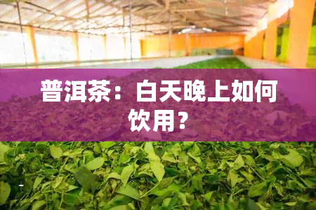 普洱茶：白天晚上如何饮用？