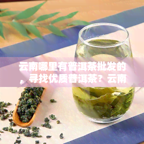 云南哪里有普洱茶批发的，寻找优质普洱茶？云南普洱茶场推荐！