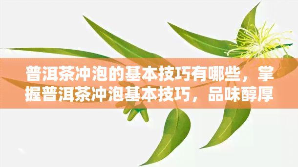 普洱茶冲泡的基本技巧有哪些，掌握普洱茶冲泡基本技巧，品味醇厚茶香